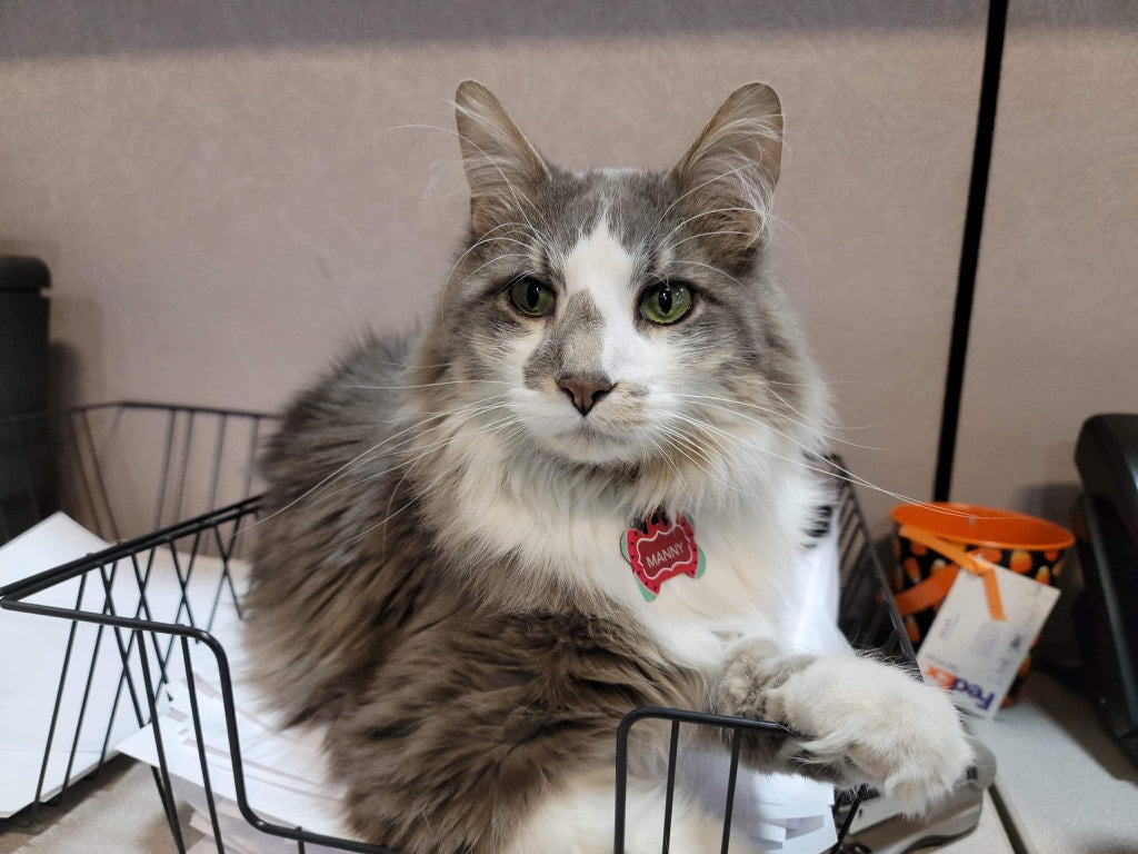 EMPLOYEE SPOTLIGHT: MANNY