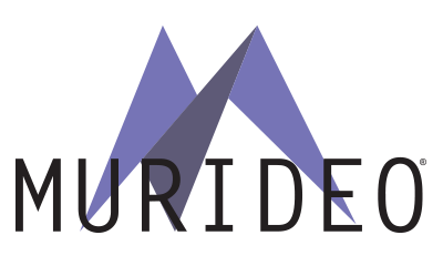 Murideo Becomes Standalone Entity and Hires New Sales VP