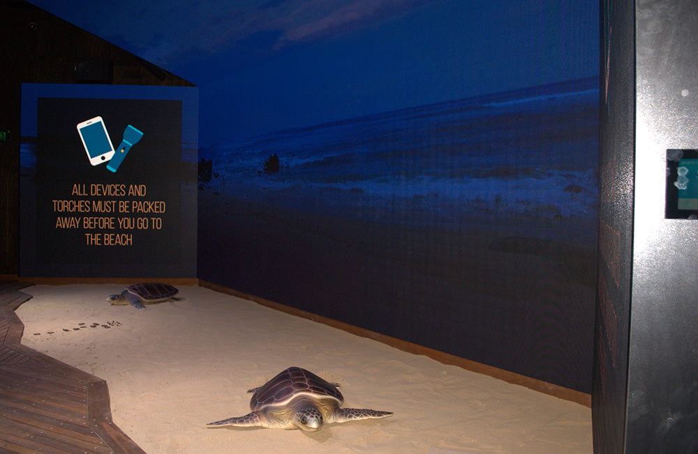 The Technology of Conservation