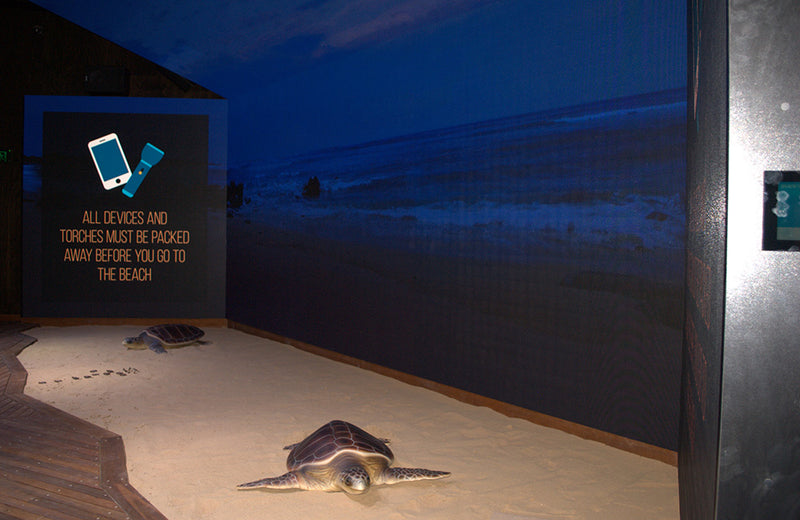 The Technology of Conservation